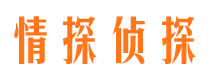 额敏情探私家侦探公司